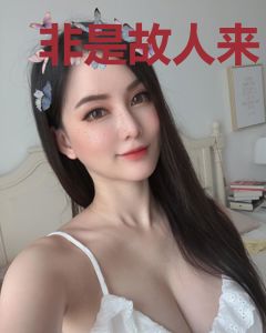 非是故人来