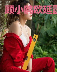顾小鸥欧延霆