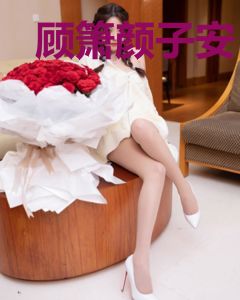 顾箫颜子安