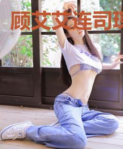 顾艾艾连司琛