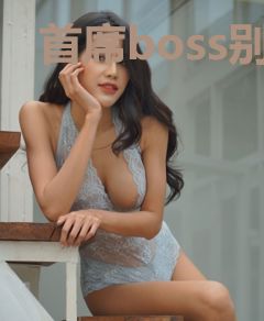 首席boss别缠我慕千菡牧逸风