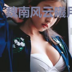 魏南风云曦月