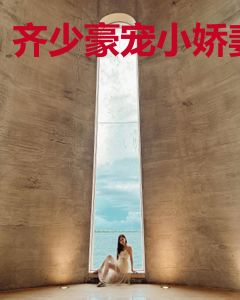 齐少豪宠小娇妻