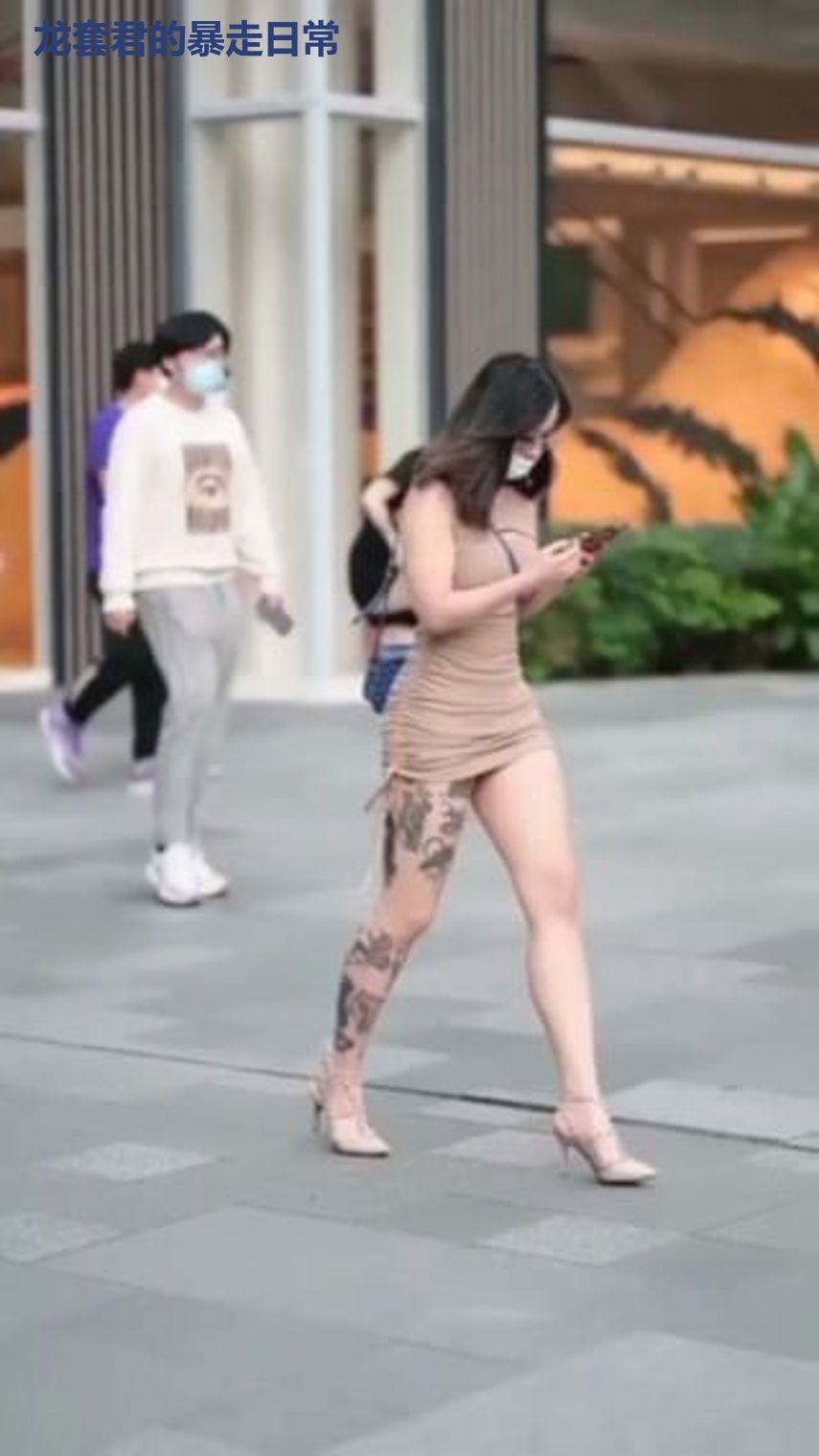 龙套君的暴走日常