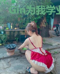 Gin为我学业愁秃头