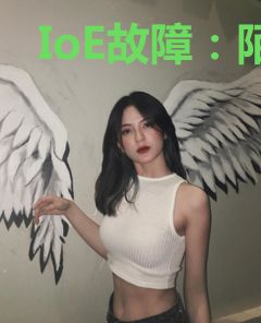 IoE故障：陌生的家园