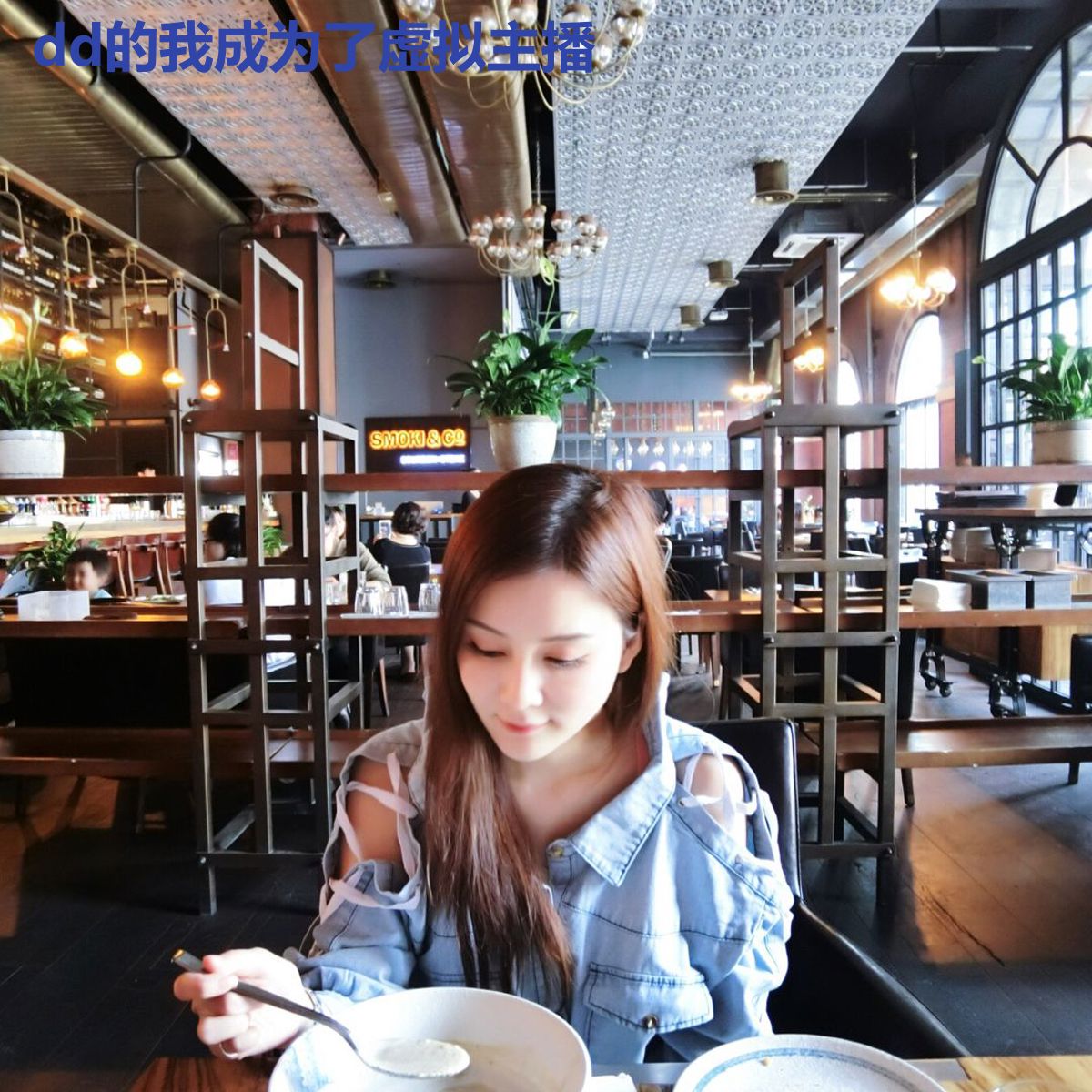dd的我成为了虚拟主播